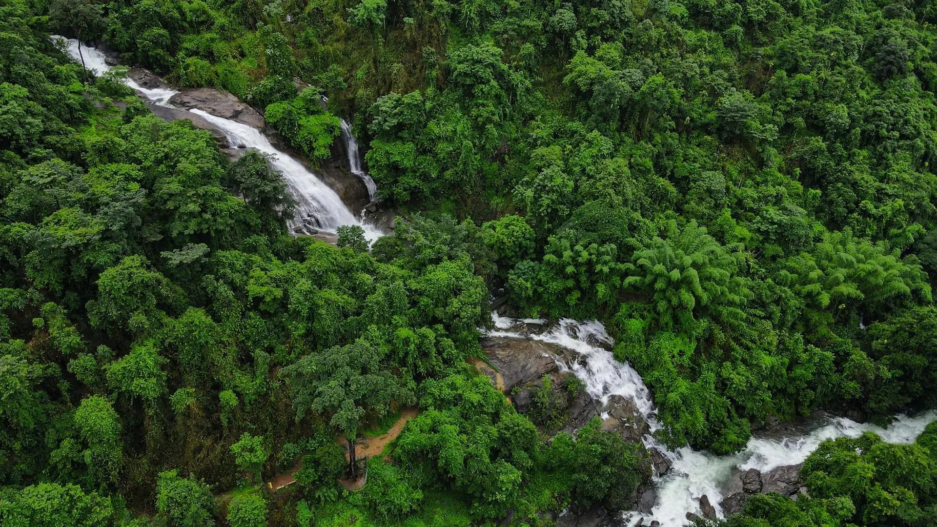 Kiwioz Villa Thamarassery