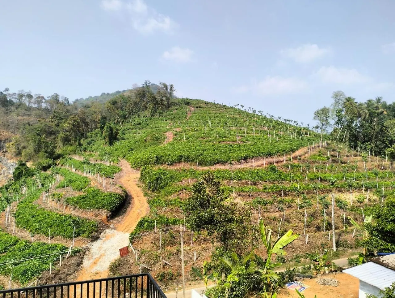 Kiwioz Villa Thamarassery India