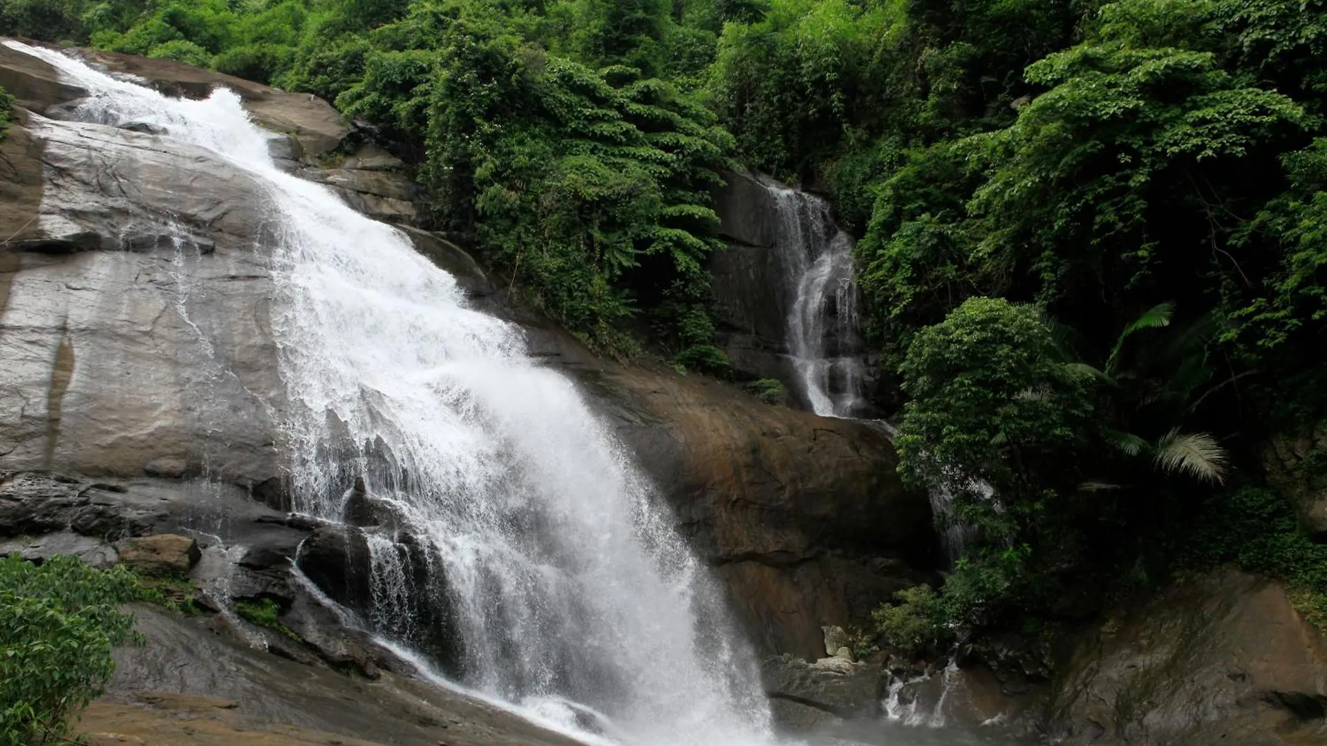 Kiwioz Villa Thamarassery