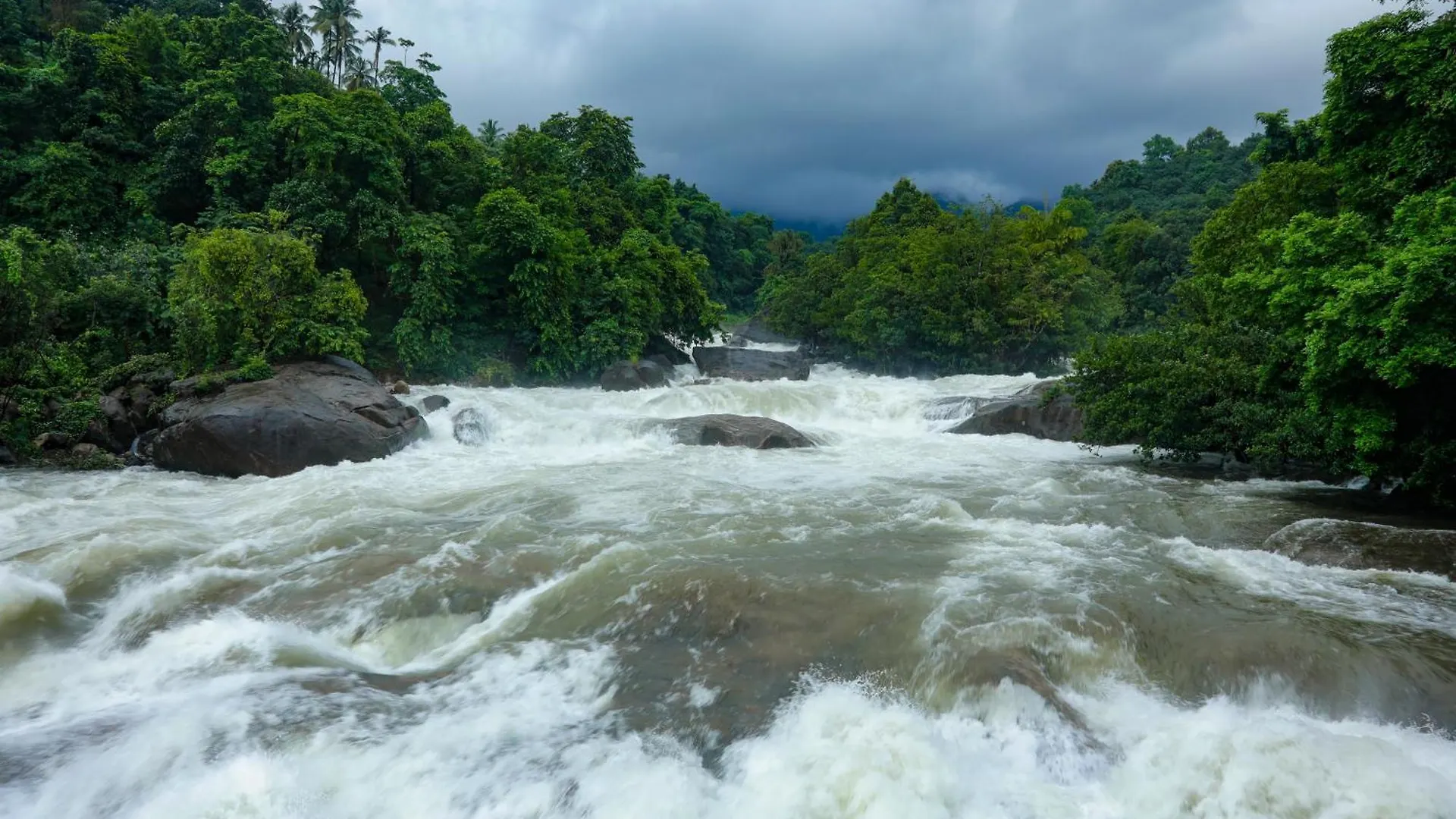 Kiwioz Villa Thamarassery